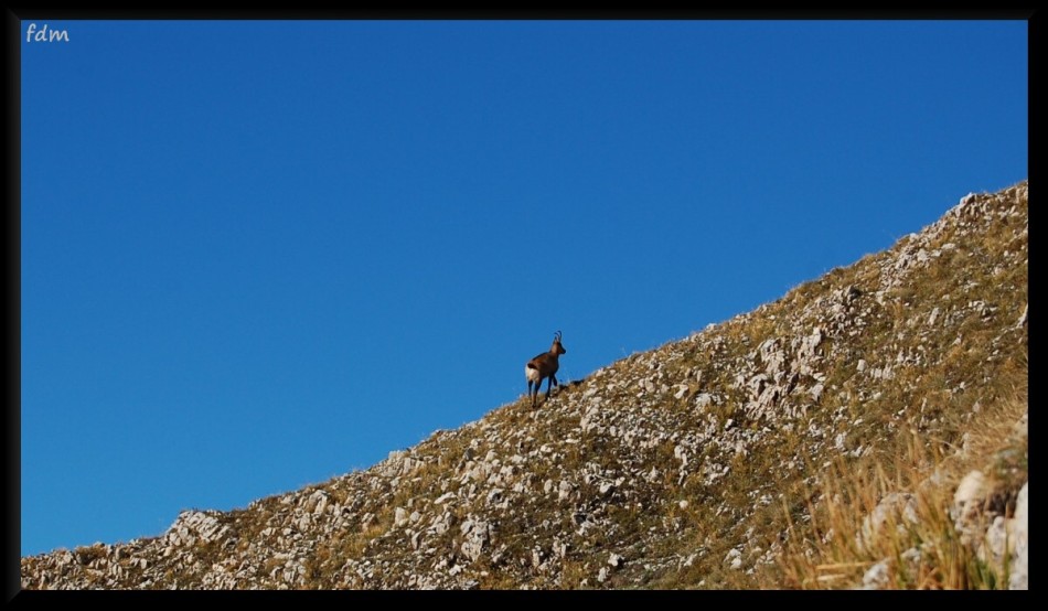 Gran Sasso d''Italia - salita sul Pizzo Cefalone 2533 mt.